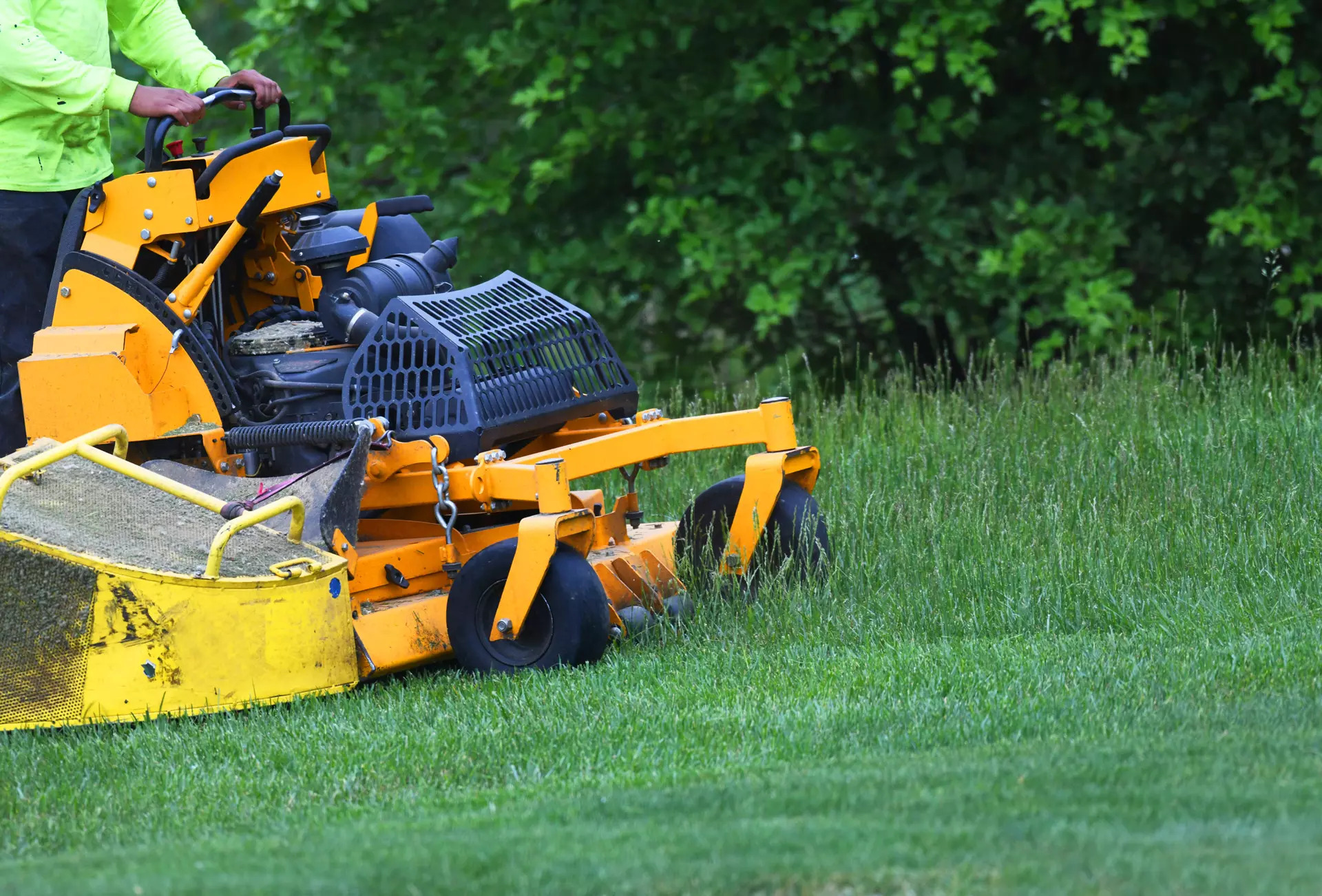 Transforming Outdoor Spaces: The Impact of Professional Lawn Care Services